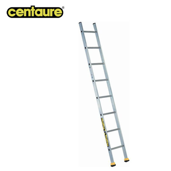 Image de ECHELLE SIMPLE 2M95 CENTAURE