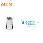 Image de DOUILLE TORX FEM E16 ACEM