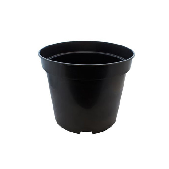 Image de POT 15 CM