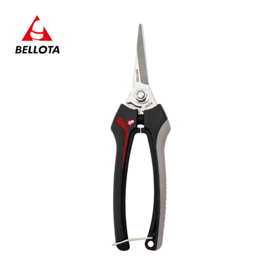 Image de SECATEUR INOX 3624 BELLOTA