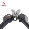 Image de SECATEUR INOX 3624 BELLOTA