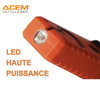 Image de BALADEUSE COB LED REGLABLE BL200 ACEM