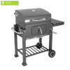 Image de BARBECUE AU CHARBON GM