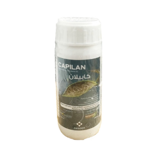 Image de CAPILAN 100ML