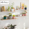 Image de POTS DECO 10 ARDOISE 18860 LECHUZA