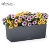 Image de POTS BALCONERA 50 GRIS ARDOISE 15673 LECHUZA