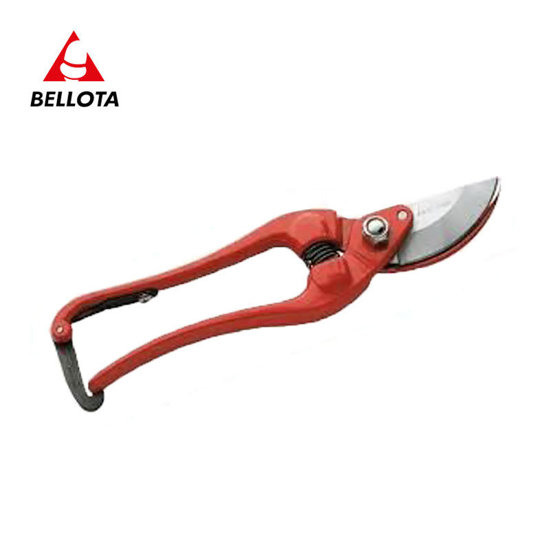 Image de  SECATEUR FORGE 23504-23 BELLOTA