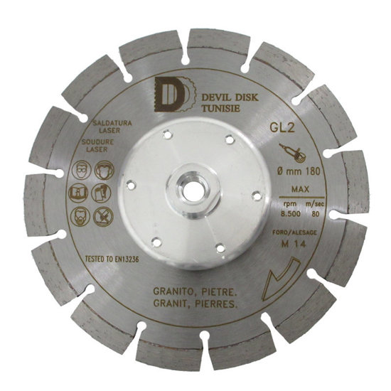 Image de DISQUE DIAMANT GRANITE M14 D180 WORK