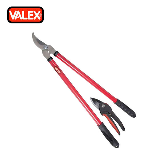 Image de JEUX COUPE BRANCHE 1486285 - VALEX