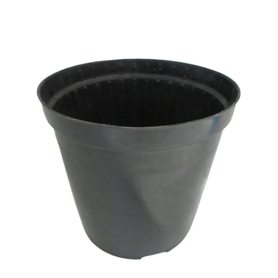 Image de POT 16 CM