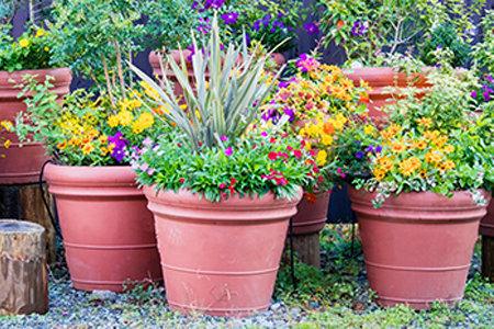 Image de la catégorie Pot, fontaine et accessoires