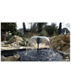 Image de POMPE FONTAINE /4500L HQB4503