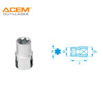 Image de DOUILLE TORX CR-V1/2 E 18 ACEM