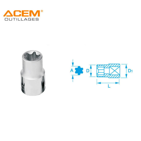 10000 Articles. acem-douille-torx-cr-v12-e-18