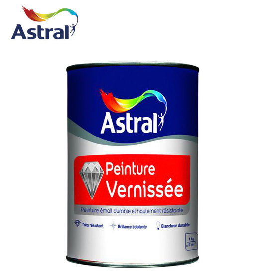 10000 Articles. PEINTURE VERNISSE BLANC 1KG ASTRAL