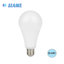Image de LAMPE LED 18W E27 BLANC SIAME