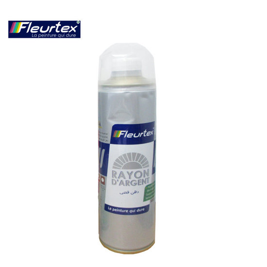 Image de BOITE PEINTURE RAYON ARGENT 500GR FLEURTEX