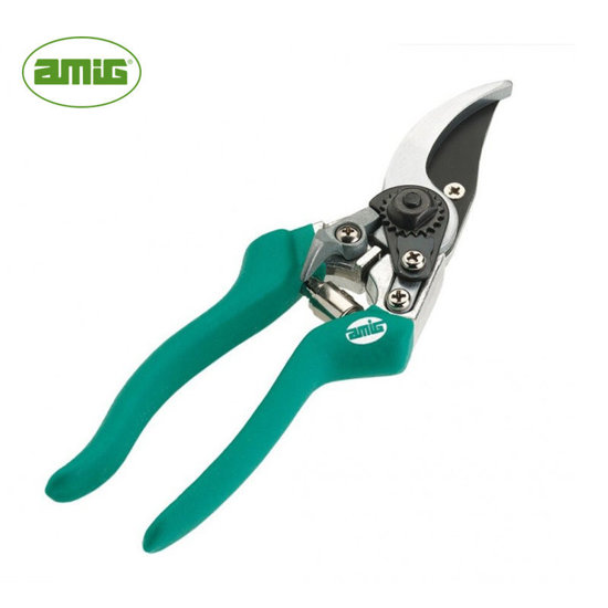 Image de SECATEUR 230MM VERT AMIG