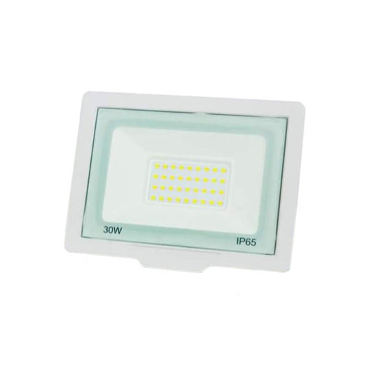 Image de PROJECTEUR LED 30W 7500K TLC