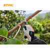 Image de SECATEUR A BATTERIE ASA-20.0 STIHL
