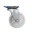 Image de ROUE PIVOT AVEC PLAQUE D40 BLANC