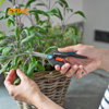 Image de SECATEUR FRESHCUT 12212-20 GARDENA