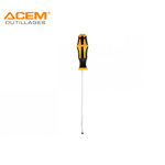Image de TOURNEVIS PRO FRANCAIS 3X100MM ACEM