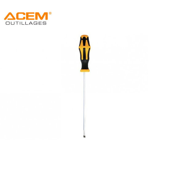 Image de TOURNEVIS PRO FRANCAIS 4X100MM ACEM 