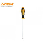 Image de TOURNEVIS PRO FRANCAIS 5X100MM ACEM