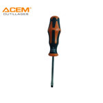 Image de TOURNEVIS PRO FRANCAIS 6X100MM ACEM