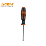 Image de TOURNEVIS PRO PH1X100MM ACEM