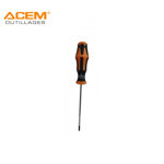 Image de TOURNEVIS TORX T15X100MM ACEM