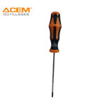 Image de TOURNEVIS PRO PH0X100MM ACEM