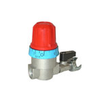 Image de RÉGULATEUR DE PRESSION D'AIR MICROMATIC R1RS Z/25L
