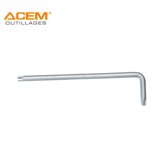 Image de CLE MALE COUDEE EXTRA LONG TORX S2 T40 ACEM