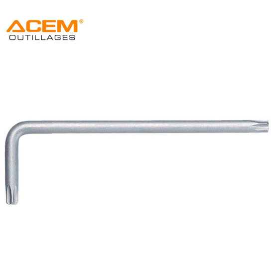 Image de CLE MALE COUDEE EXTRA LONG TORX S2 T55 ACEM