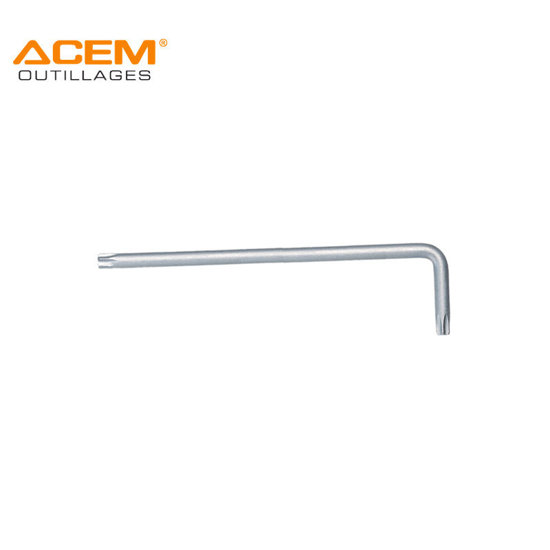 Image de CLE MALE COUDEE EXTRA LONG TORX S2 T30 ACEM