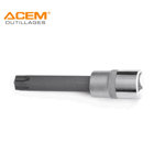 Image de DOUILLE POUR VIS TORX T60 SL100 ACEM
