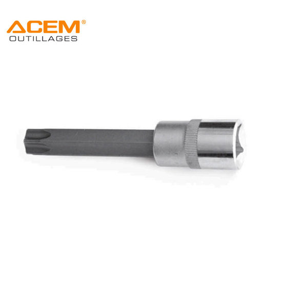 Image de DOUILLE POUR VIS TORX T60 SL100 ACEM