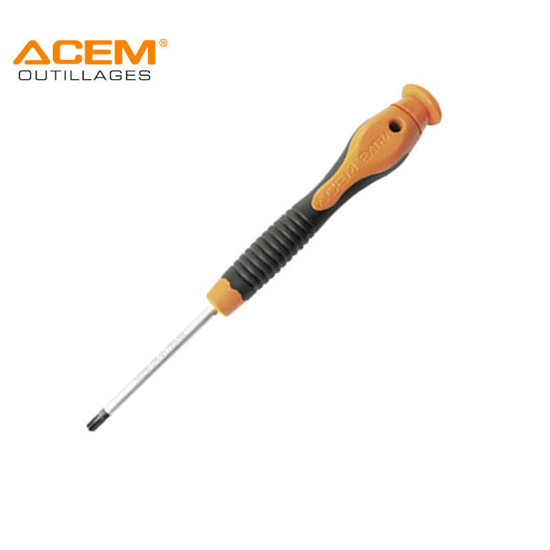 Image de TOURNEVIS TORX T08X75 MM DE PRECISION EXTRA2 ACEM