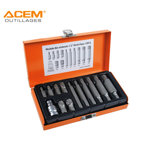 Image de MODULE RIBE EMBOUTS 1/2" 13PCS 6-16MM TT5313A ACEM