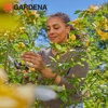 Image de COUPE-BRANCHES 45MM-12030-20 GARDENA